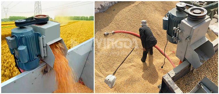 grain suction 5.jpg grain suction 5.jpg